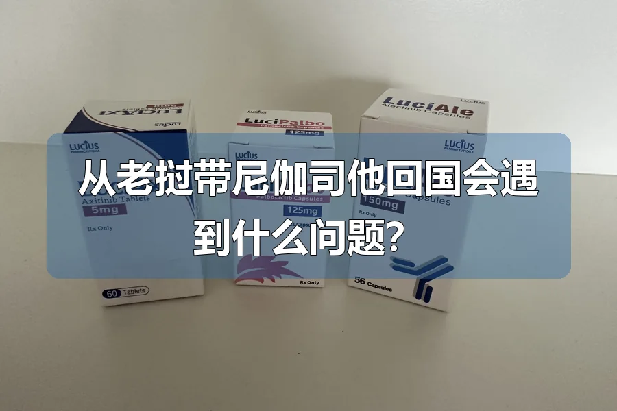 从老挝带尼伽司他回国会遇到什么问题？